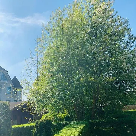 Lägenhet Strandperle Timmendorfer Strand